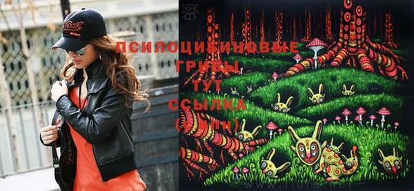 молекула духа Козельск
