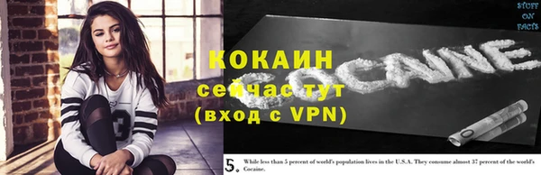 молекула духа Козельск