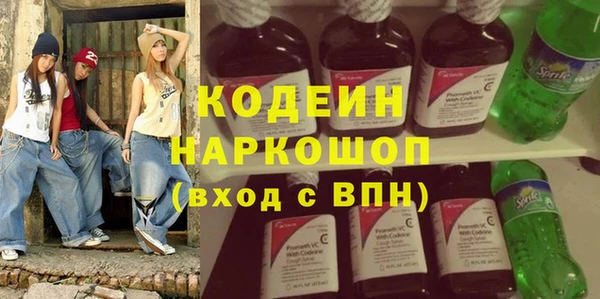 молекула духа Козельск