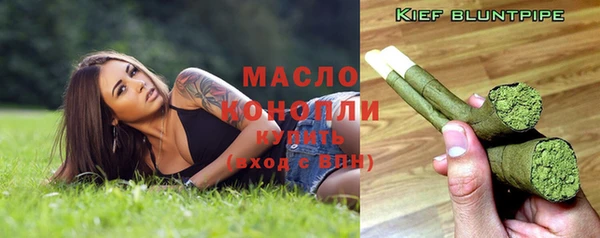 молекула духа Козельск