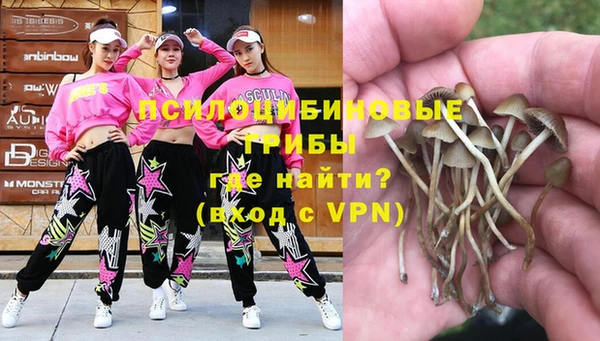 не бодяженный Кодинск